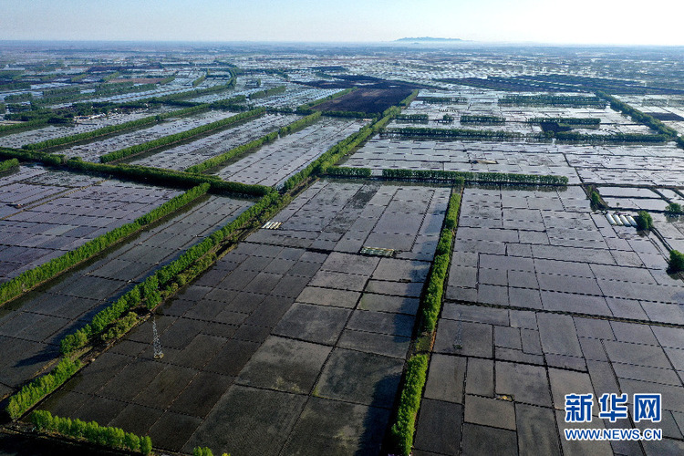 乡村振兴在行动|解码建三江无人农场的“智慧芯”