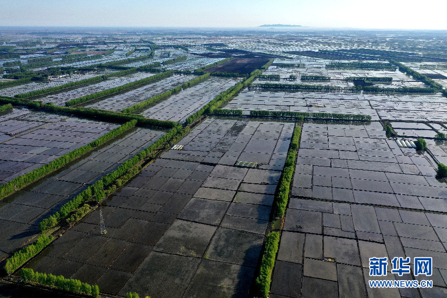 乡村振兴在行动|解码建三江无人农场的“智慧芯”