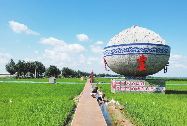 实施乡村振兴战略 争当现代农业建设排头兵——吉林市推进现代农业建设掠影