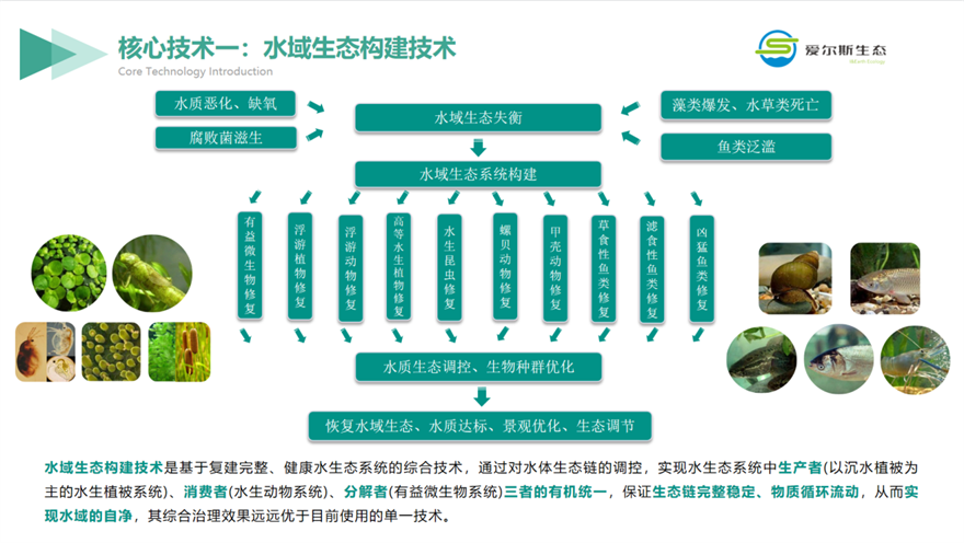 西安高新区企业：用科技助力环保 做守护绿水青山的探索者_fororder_图片7