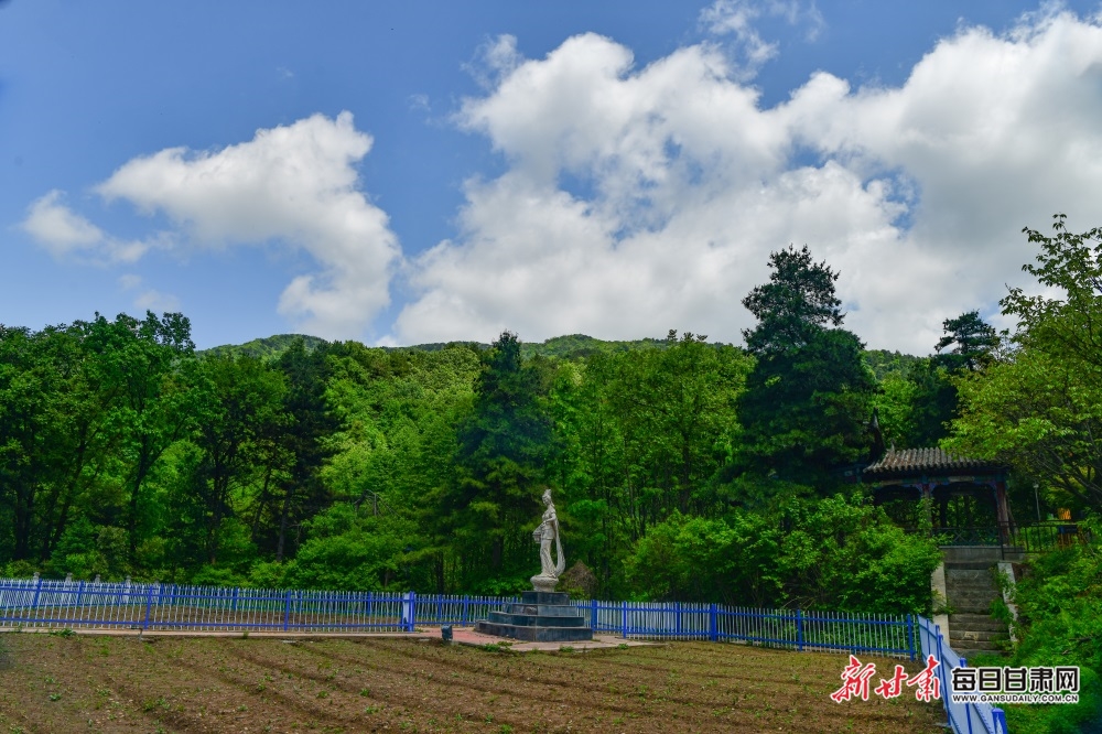 【文旅焦点图】夏日麦积山：群峰耸峙染翠色 飞瀑流泉画中画_fororder_麦积山4