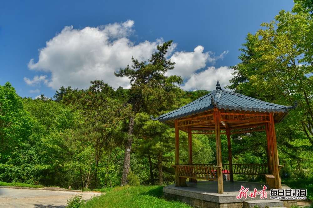 【文旅焦点图】夏日麦积山：群峰耸峙染翠色 飞瀑流泉画中画_fororder_麦积山6