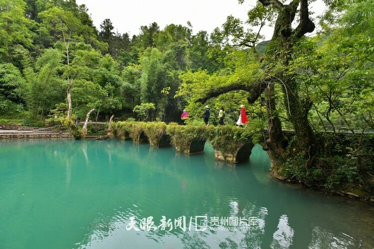 贵州荔波：雨后小七孔景色秀丽宜人