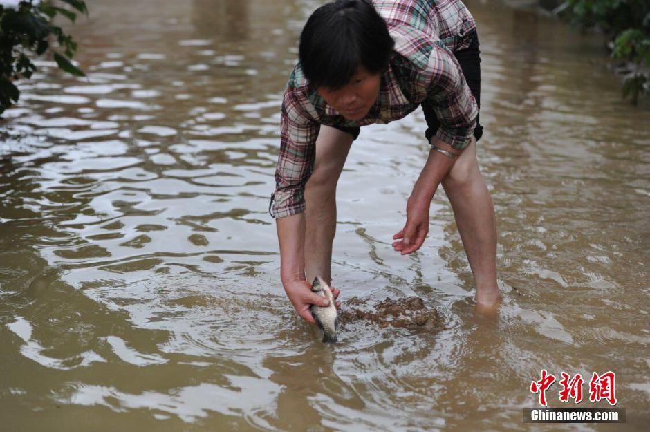 安徽遭遇强暴雨 多地被淹