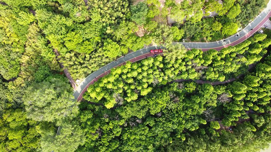 河南洛阳：厚植生态底色 乐享城市游园