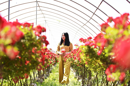 厚植最美生态 绿染城市乡村