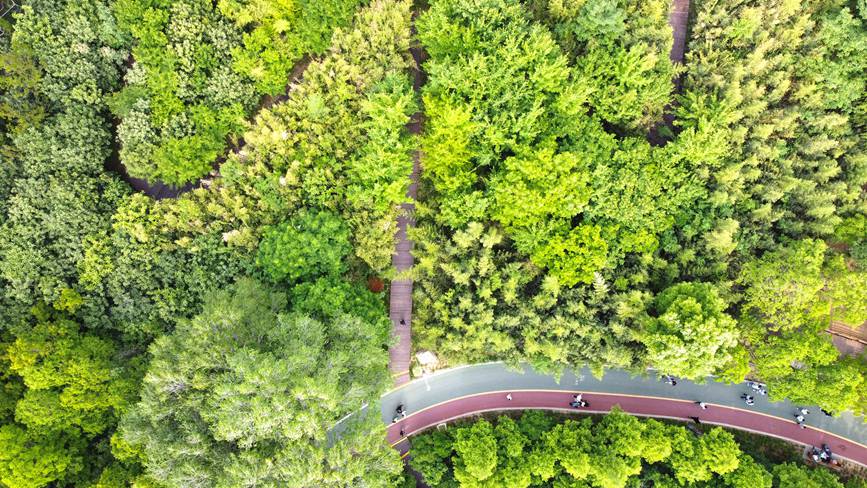 河南洛阳：厚植生态底色 乐享城市游园