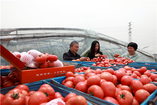 安阳内黄：电商助农为乡村振兴赋能_fororder_图片9