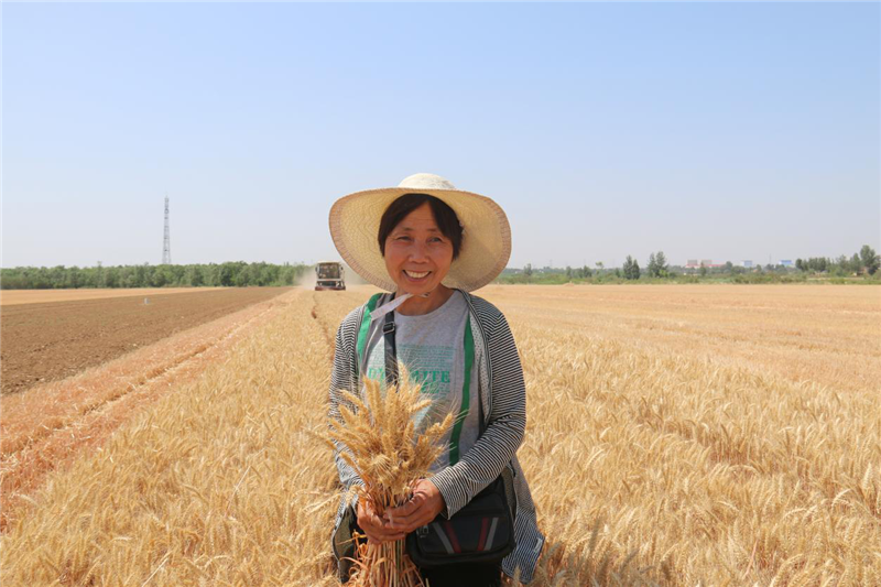 【战“三夏” 稳粮仓】安阳市文峰区：三夏麦收第一镰 防火禁烧保安全_fororder_图片33