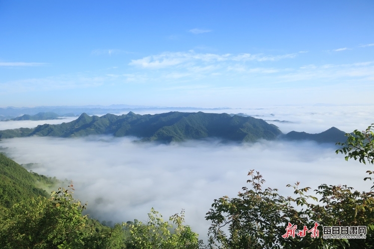 【焦点图】群山逶迤云海苍茫 航拍陇南康县毛垭云海如仙境_fororder_3