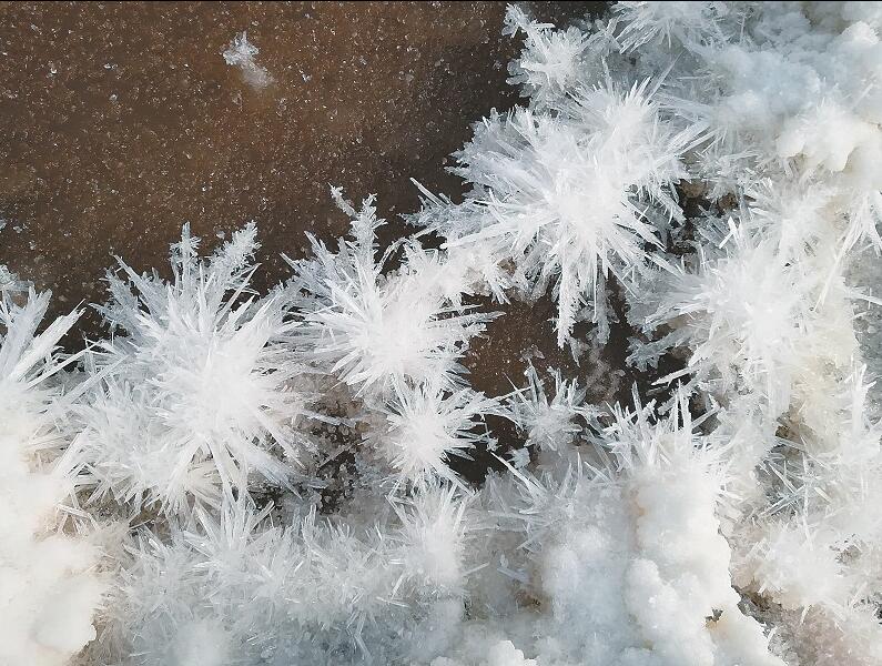 盐湖上开出“水晶花”