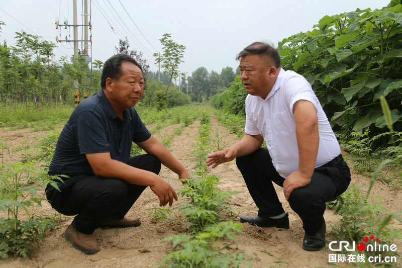 附政府官网链接，该句内容已向商丘市梁园区委宣传部核实【河南人的一天·第9期】“一把铁锹”何以种下万亩林海？