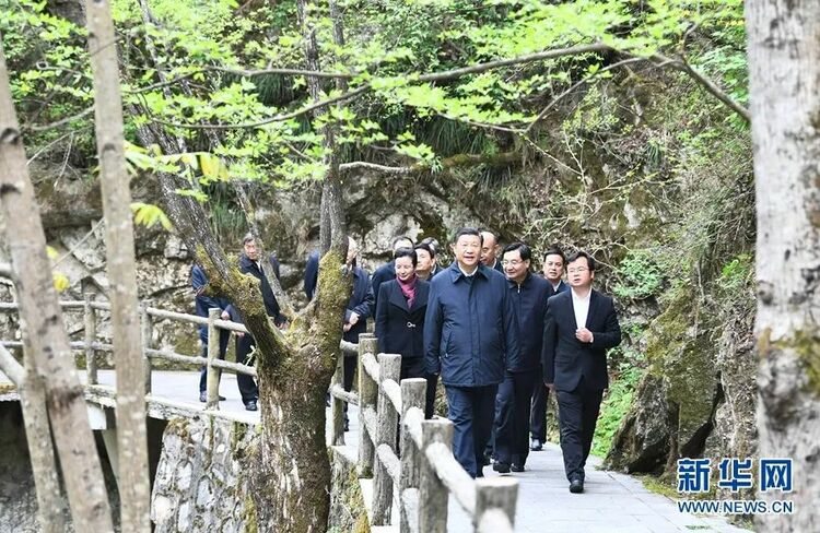 习近平：为子孙后代留下天蓝、地绿、水清的美丽家园