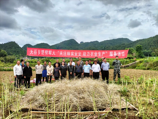 （供稿）贵州思南退役军人志愿者助力农业生产_fororder_帮助群众收割油菜籽（思南县退役军人事务管理局供图）