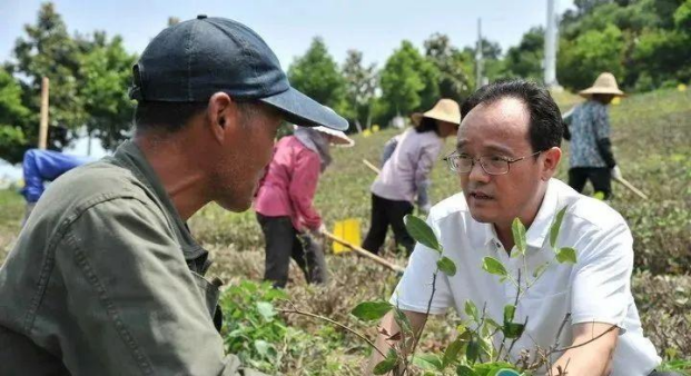 【2022中国品牌日|为你讲一个新故事】 做茶农“领头羊” 缪惠民带动天目湖白茶一方热土_fororder_图片1