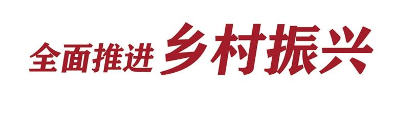 【开发区】兰州新区现代农业示范园342.7万株果蔬育苗长势喜人_fororder_新区2