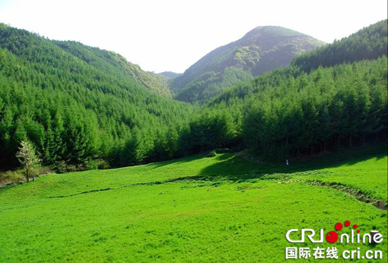 已过审【环保视点专题 要闻 摘要】重庆市巫山县持之以恒筑牢生态屏障