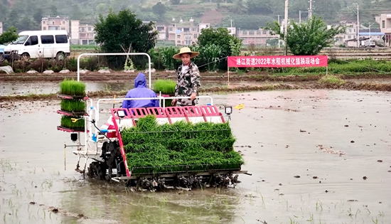 贵州惠水：干群齐心抓生产  涟江大地农事忙_fororder_惠水2