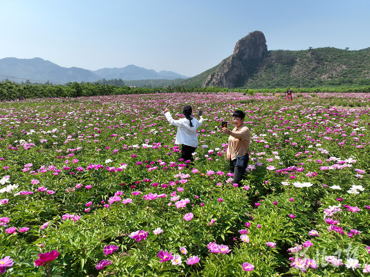 河北迁西：农旅融合促增收