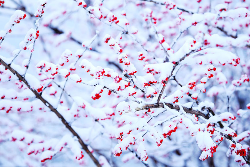 山西盂县：雪后银装素裹美景如诗如画