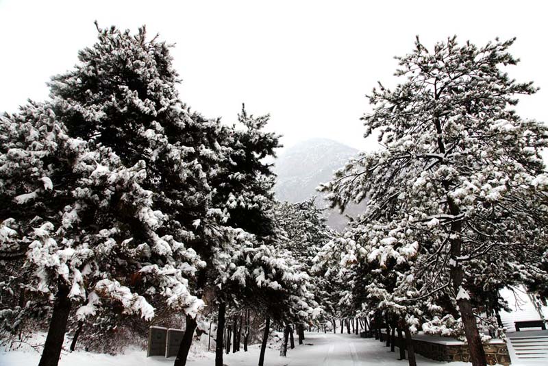 山西盂县：雪后银装素裹美景如诗如画