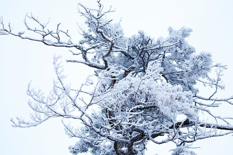 山西盂县：雪后银装素裹美景如诗如画