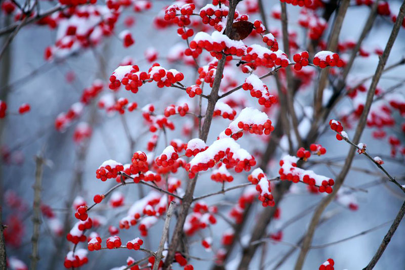 山西盂县：雪后银装素裹美景如诗如画