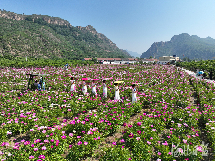 河北迁西：农旅融合促增收