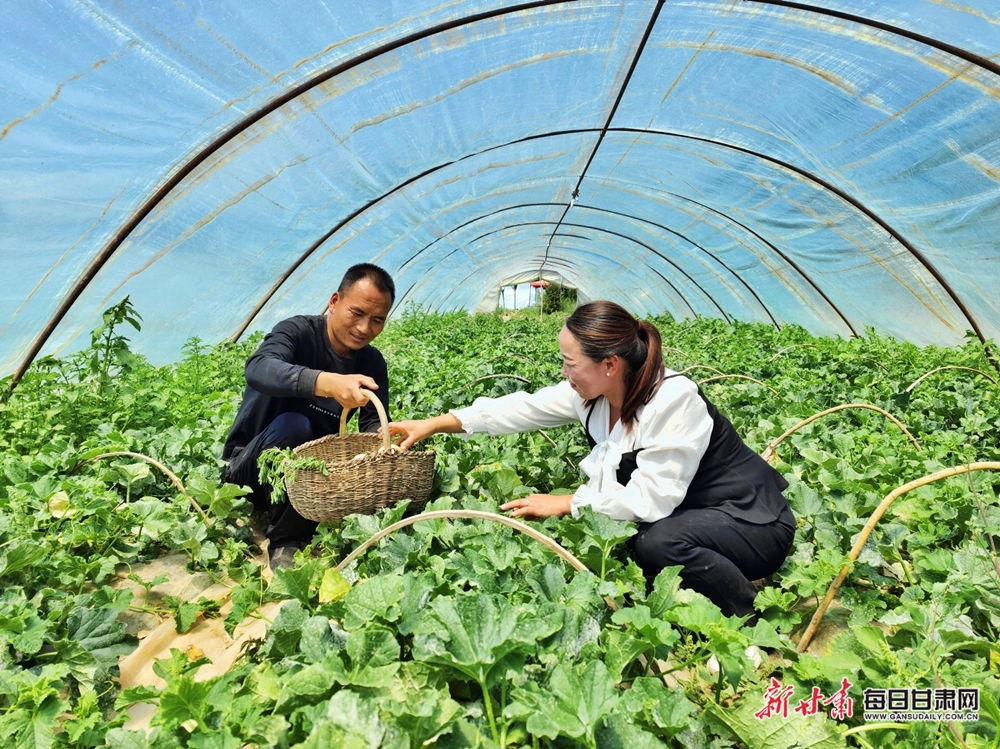 西峰：甜瓜种植让农民过上甜日子_fororder_4