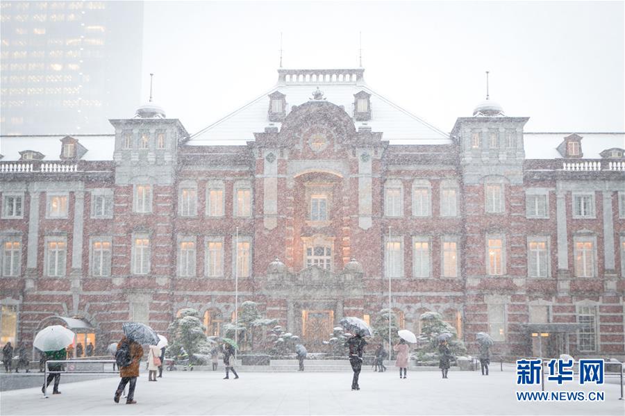 日本东京迎初雪