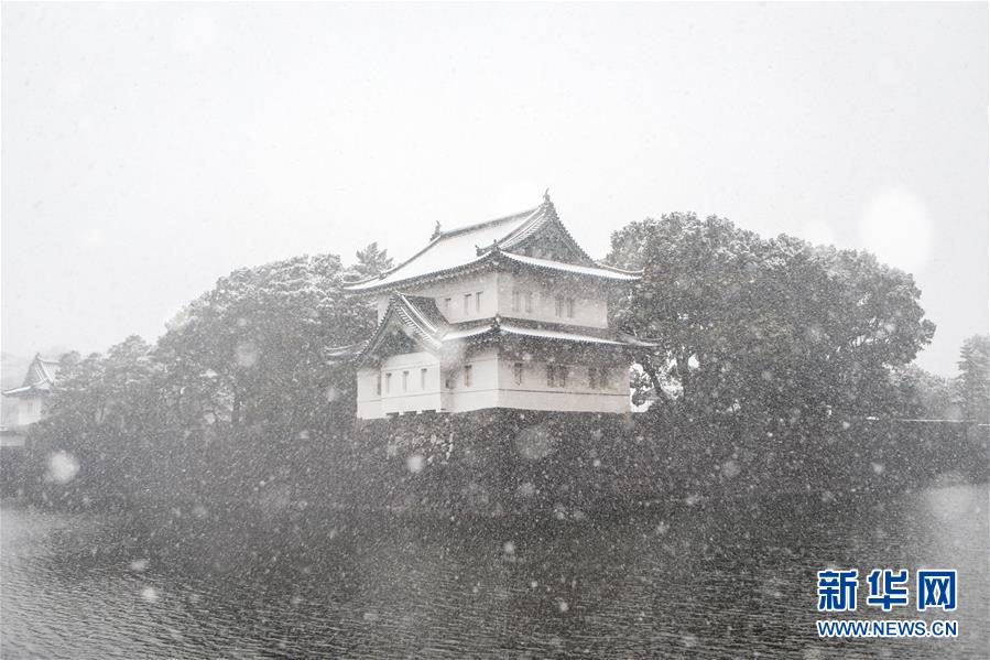 日本东京迎初雪