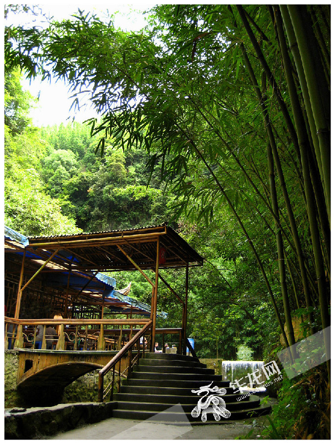 【区县联动】【梁平】品竹家菜寻古驿道 梁平百里竹海开启冬日之旅【区县联动】在梁平百里竹海开启冬日浓情之旅