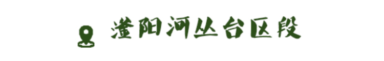 浓荫下漫步 草地上撒野 邯郸美得就是这么“亲密”