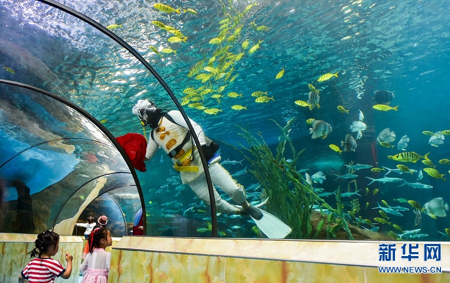 河南洛阳：海洋馆里学知识