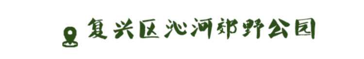 浓荫下漫步 草地上撒野 邯郸美得就是这么“亲密”