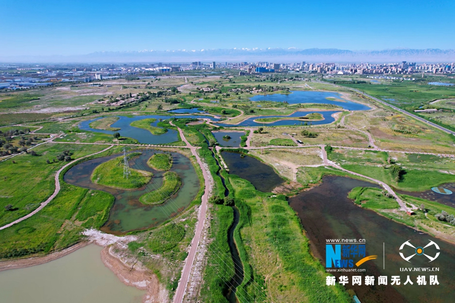 【生态】【“飞阅”中国】甘肃张掖：夏日湿地 绿意盎然_fororder_1