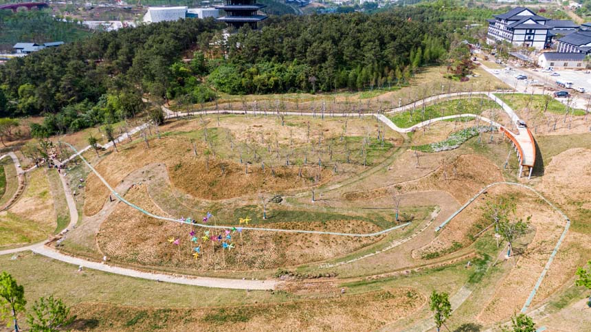 湖北荆门：生态修复造就园林盛景