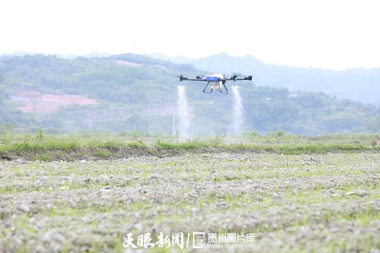 “智慧树”开花 这组图带您走进贵州数字生活