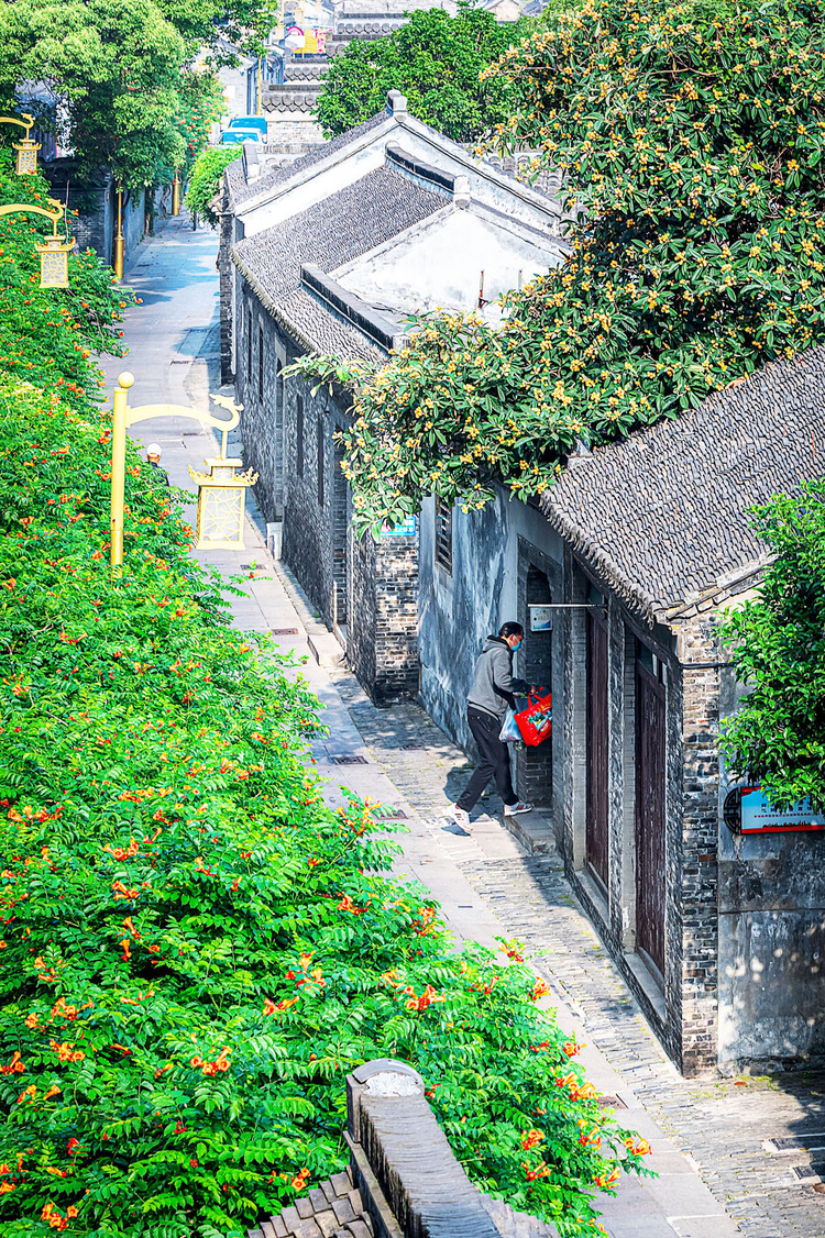 扬州：初夏花意浓