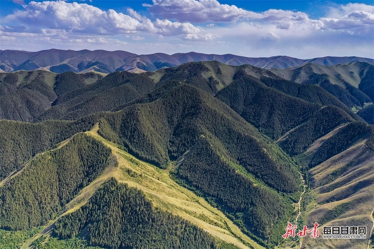 好不惬意 在景泰寿鹿山听松涛观云海_fororder_1