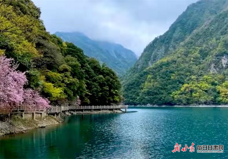 【焦点图】湖光山色两相宜 水墨丹青诗画里 夏日文县天池美出新境界_fororder_1