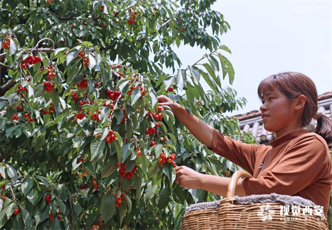 （转载）好山好景火了农家乐 水泉子有碗“流量”饭_fororder_6565265_5dd8519c-9133-4f85-b7cf-5641e8f9eb4a_batchwmcopy