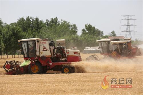 商丘市小麦机收大战拉开序幕 确保夏粮颗粒归仓