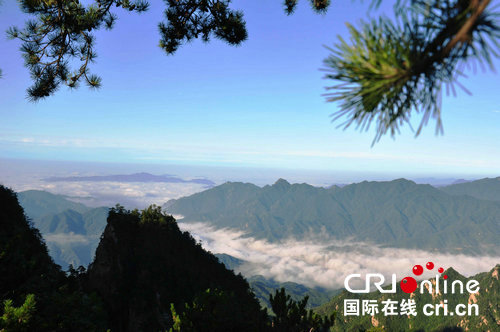 【河南原创】河南西峡大力发展山地避暑旅游 助力乡村振兴