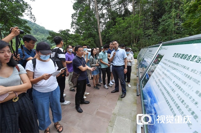 “走向我们的小康生活”大型主题采访报道活动走进重庆——“解码”山城人民的小康生活