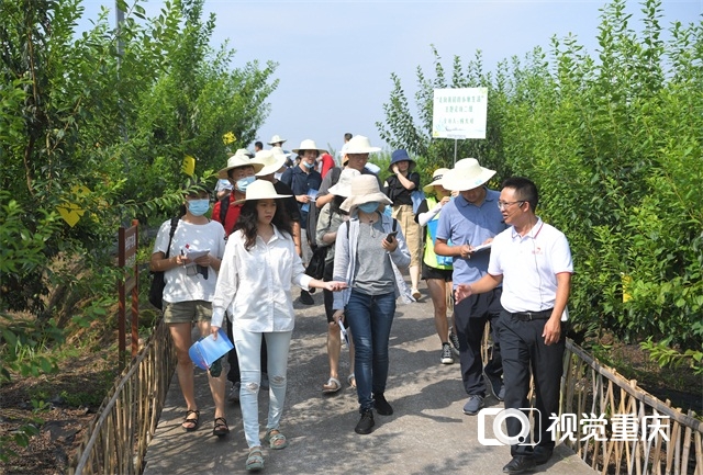 “走向我们的小康生活”大型主题采访报道活动走进重庆——“解码”山城人民的小康生活