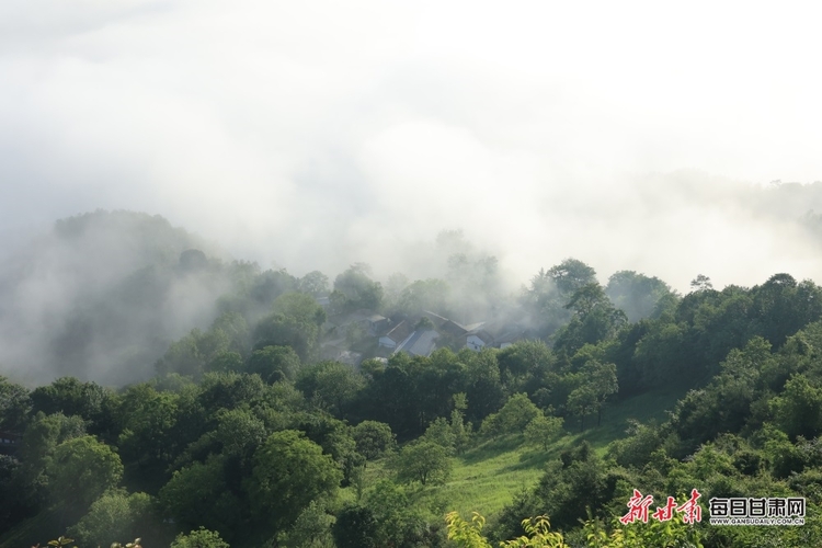 【焦点图】陇南：群山逶迤云海苍茫 航拍康县毛垭云海如仙境_fororder_4