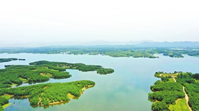 河南：法治守护湿地之美 推动湿地保护工作落到实处