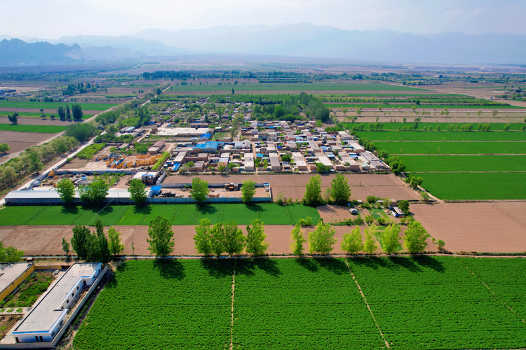 贺兰山下沃野阡陌