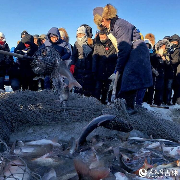 看中国·千家万户的事 水净了 鱼肥了 查干湖“沸腾”了